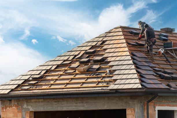Best Skylight Installation and Repair  in , TN