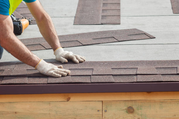Best Roof Coating and Sealing  in , TN